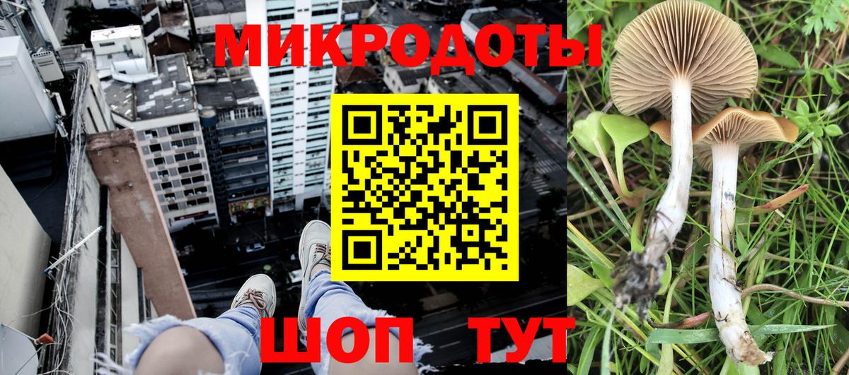 Псилоцибиновые грибы GOLDEN TEACHER  Вход с VPN  Псилоцибиновые грибы MAGIC MUSHROOMS  Майкоп 