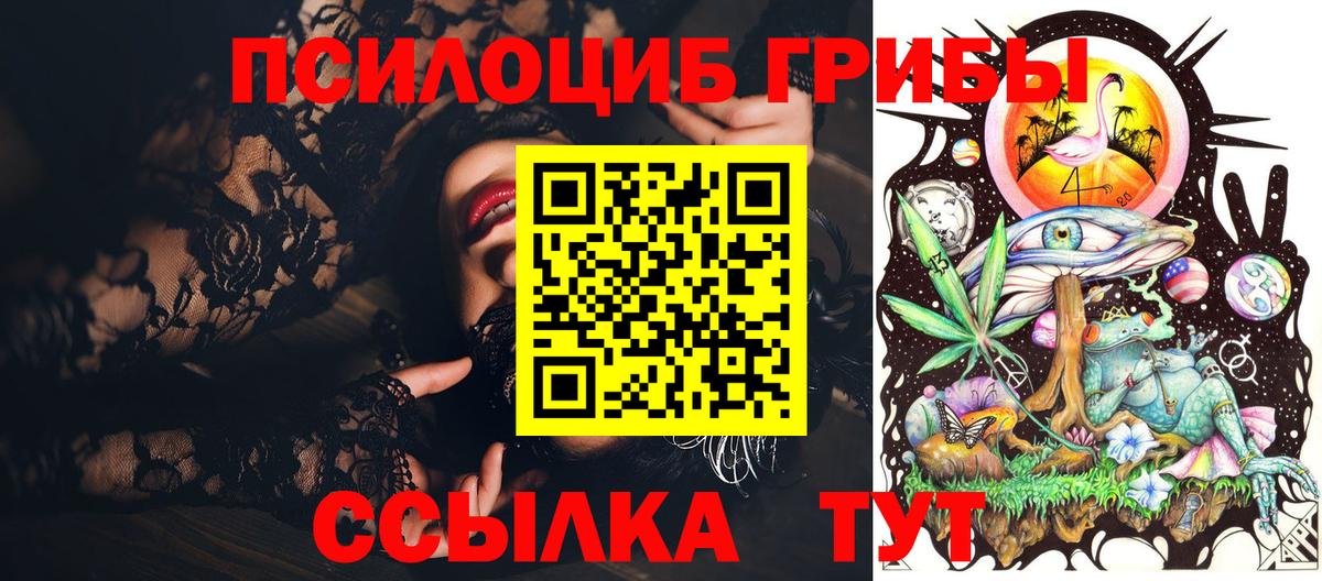 Галлюциногенные грибы прущие грибы Майкоп
