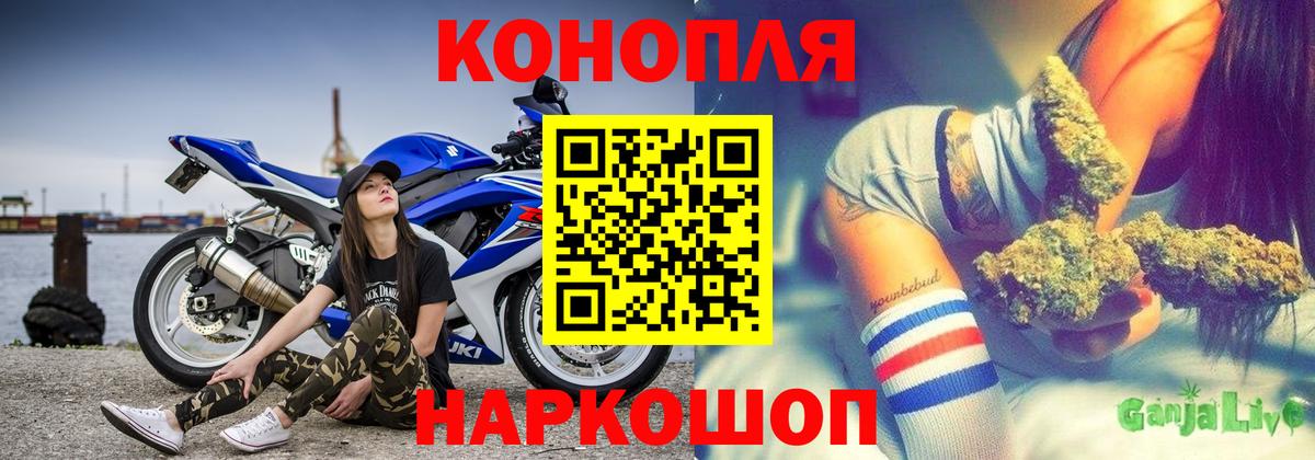 Шишки марихуана OG Kush Майкоп
